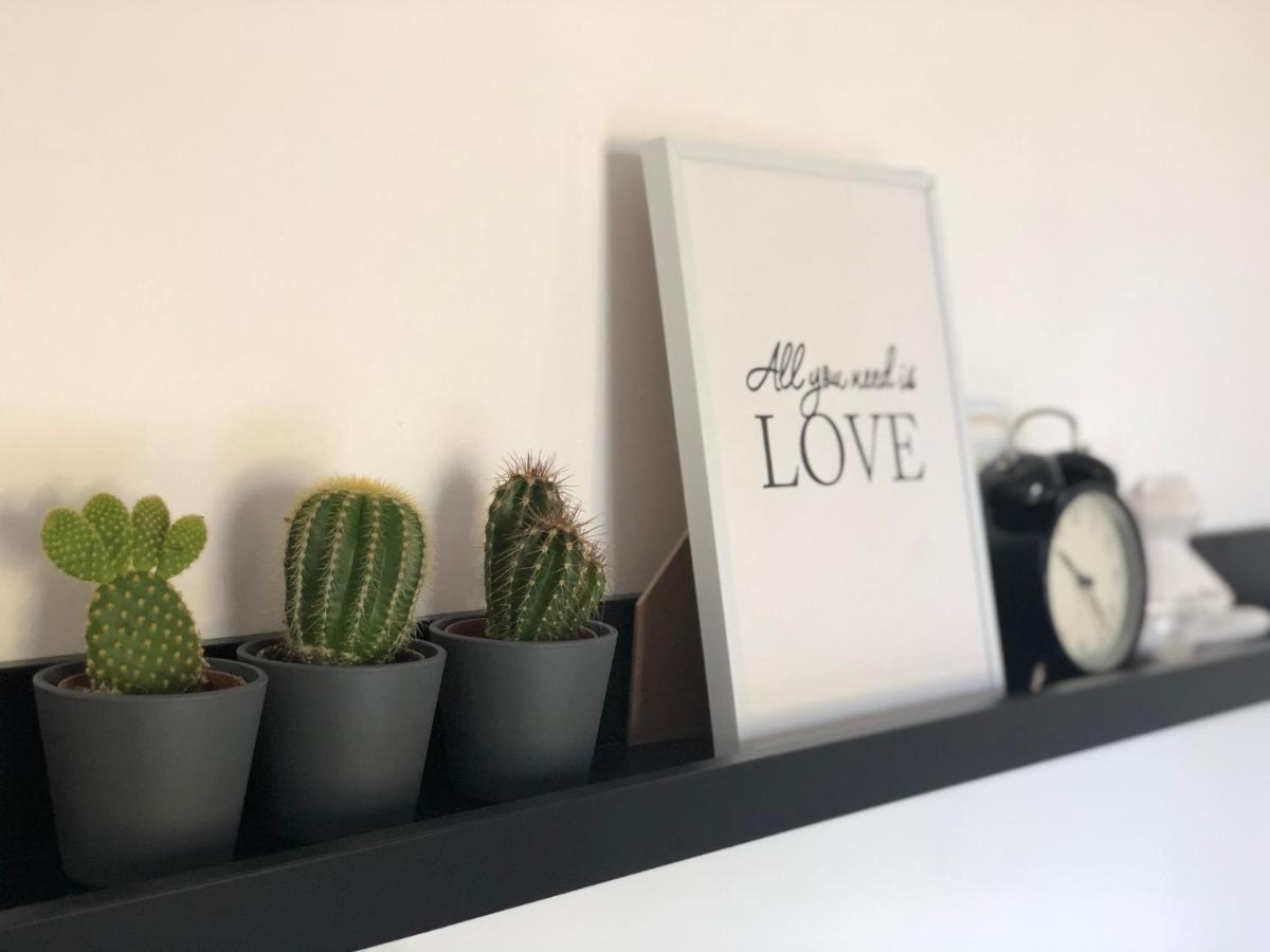 Apartman Spring Sombor Zewnętrze zdjęcie