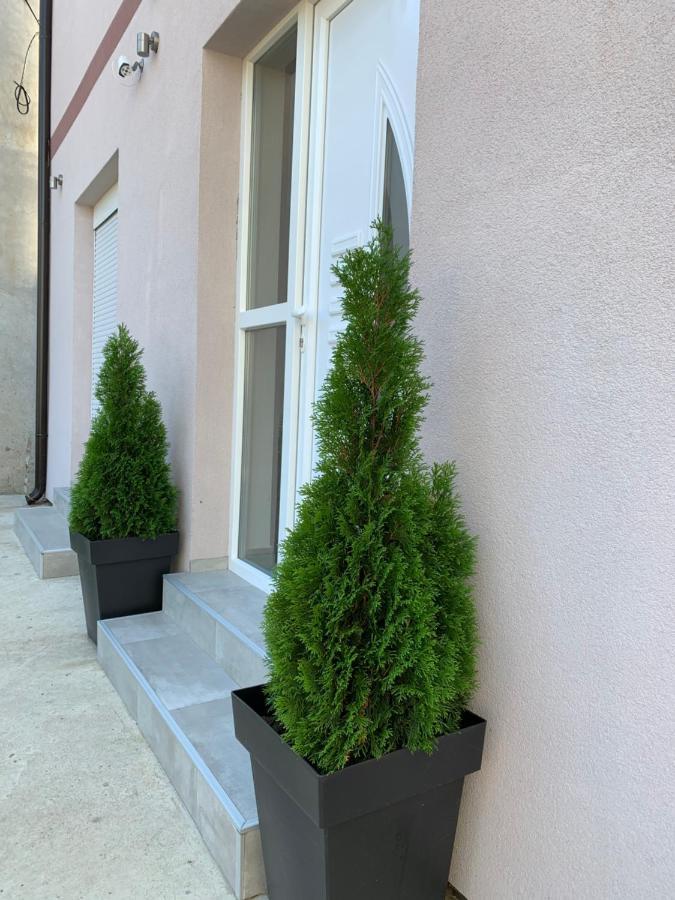 Apartman Spring Sombor Zewnętrze zdjęcie
